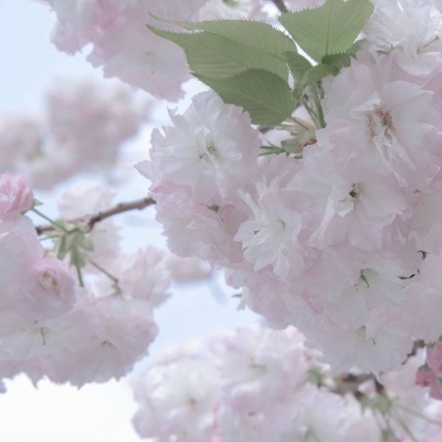 Furry角色动作设计Furry群